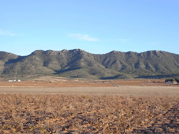 Sierra del Serral