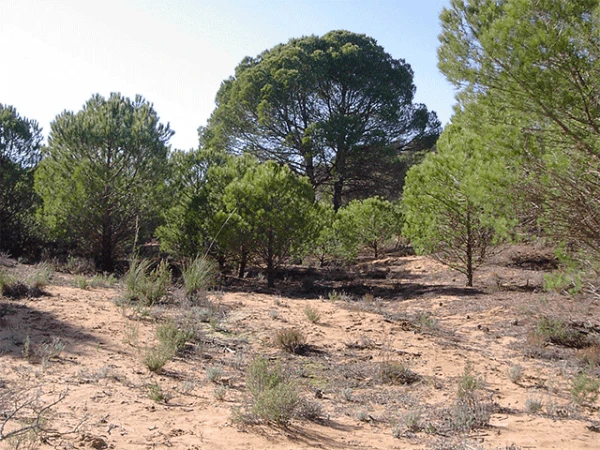 Sierra del Serral