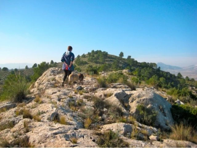 Lomas de los Castillarejos
