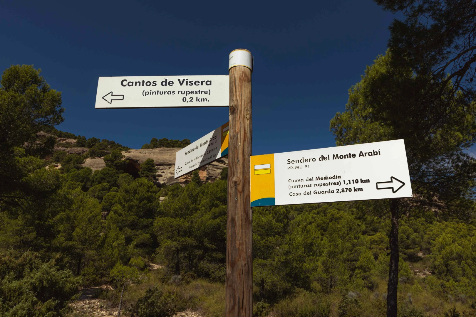 Direcciones y teléfonos de interés