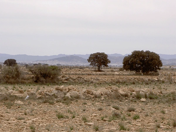 Estepas de Yecla