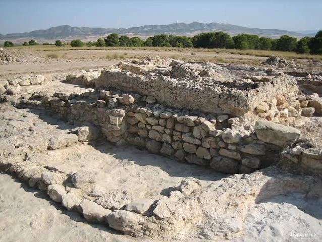Yacimiento arqueológico Fuente del Pinar