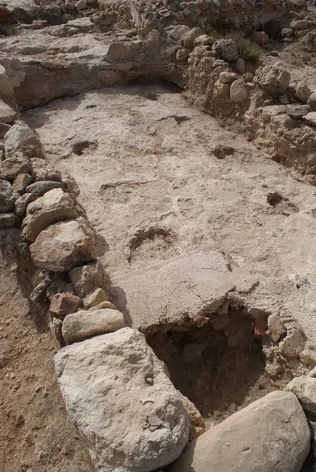Yacimiento arqueológico Fuente del Pinar