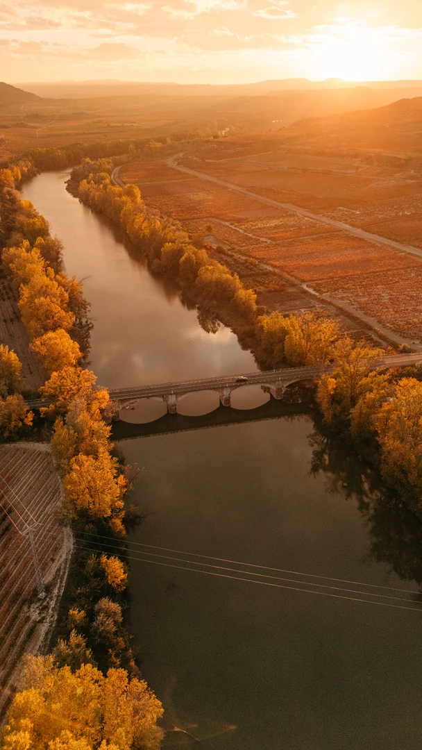 Baños de Ebro/Mañueta