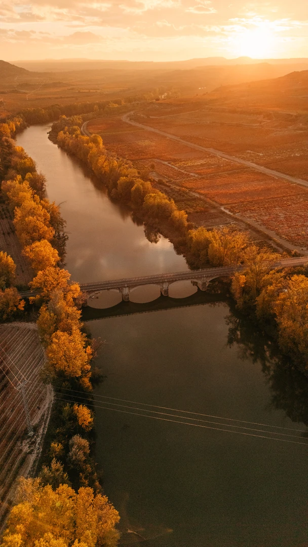 Baños de Ebro/Mañueta