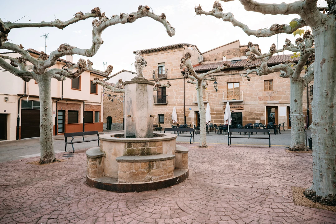 Baños de Ebro/Mañueta