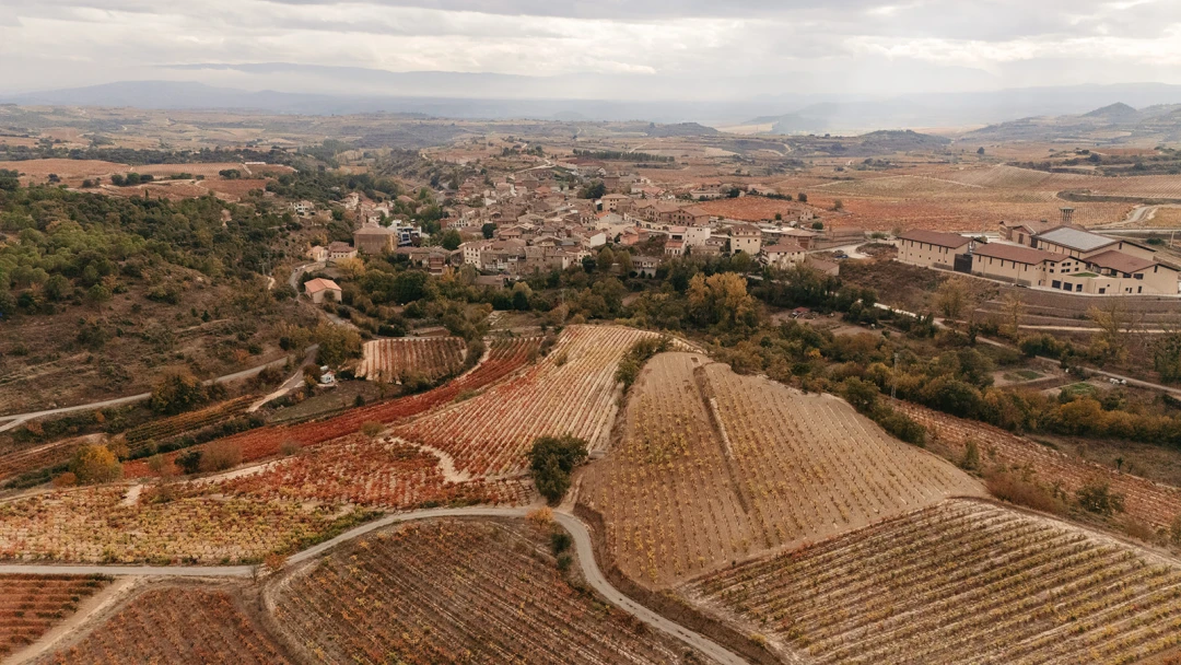 Villabuena de Álava