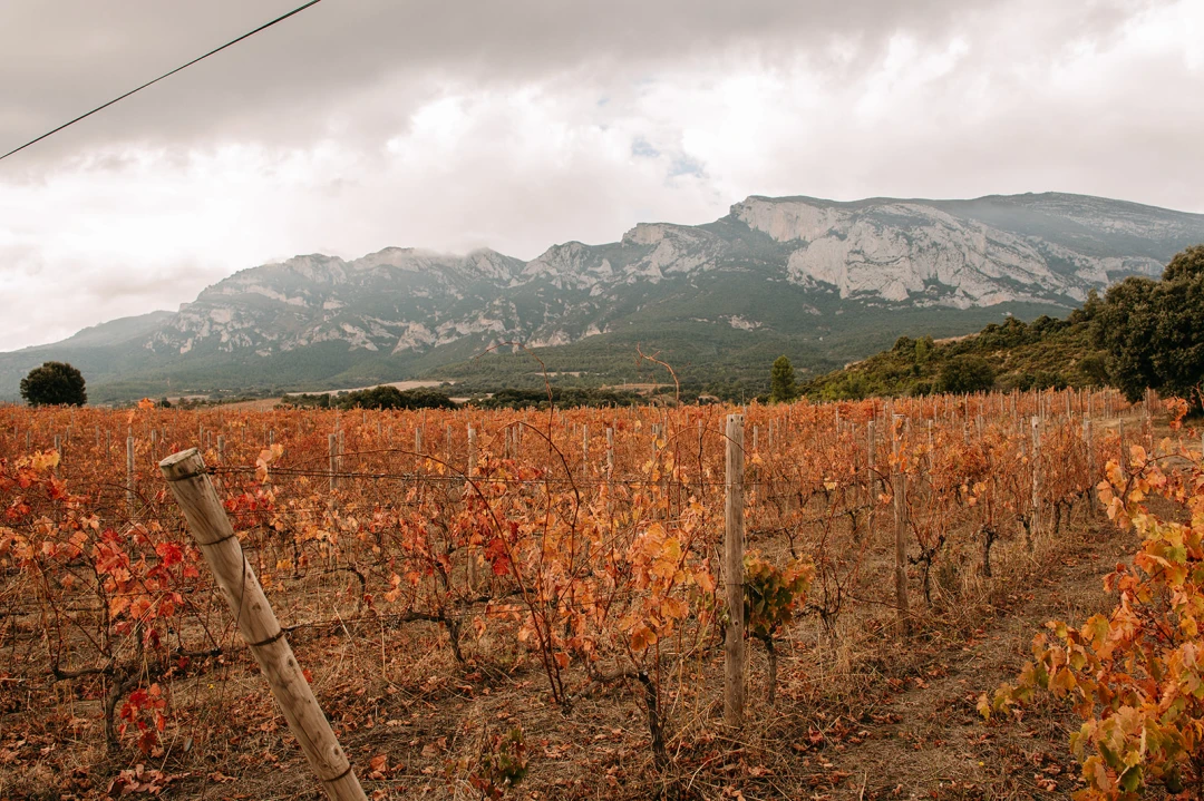 Villabuena de Álava