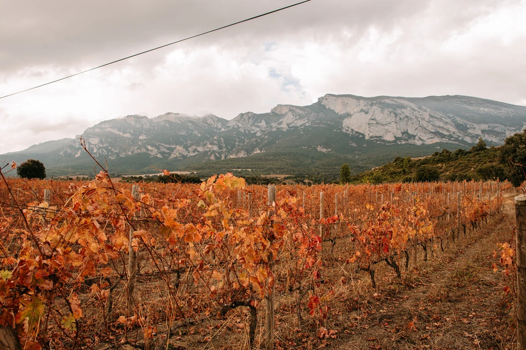 Villabuena de Álava