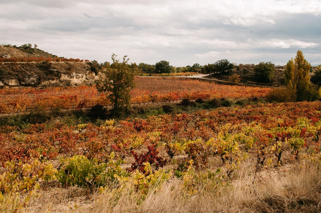 Villabuena de Álava