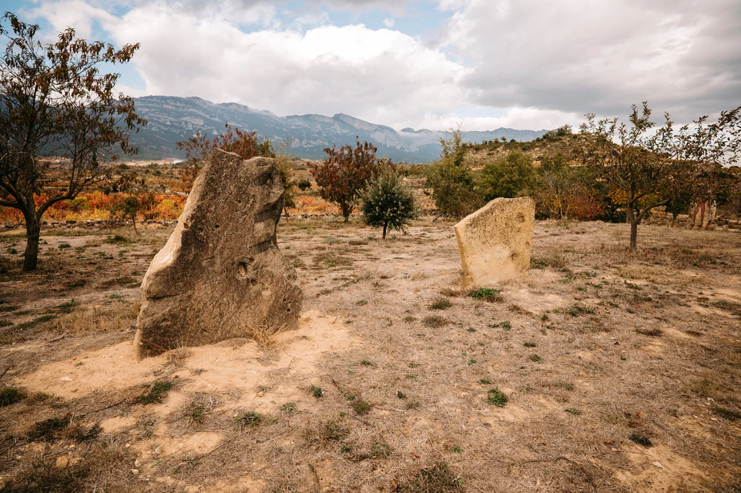 Villabuena de Álava