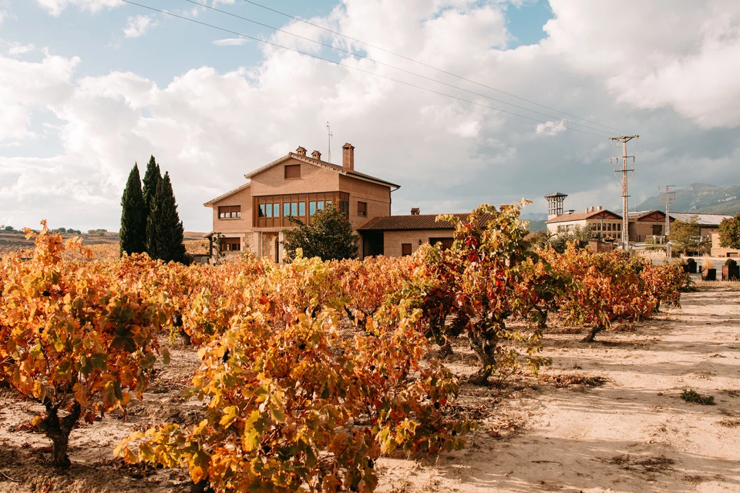 Villabuena de Álava