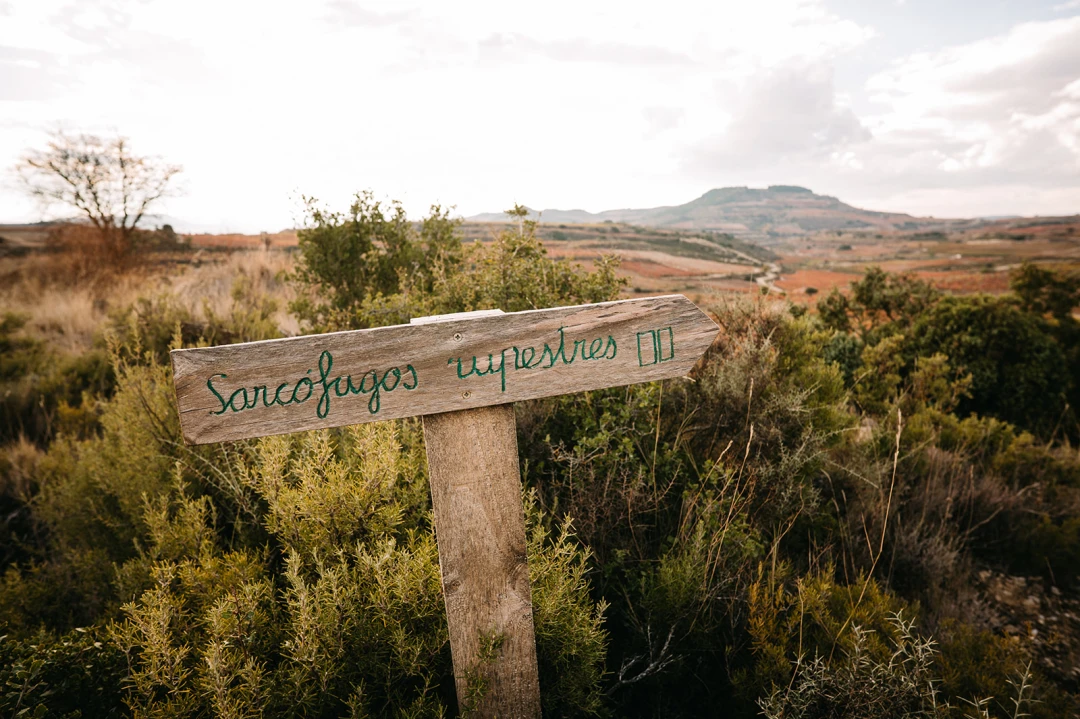 Villabuena de Álava