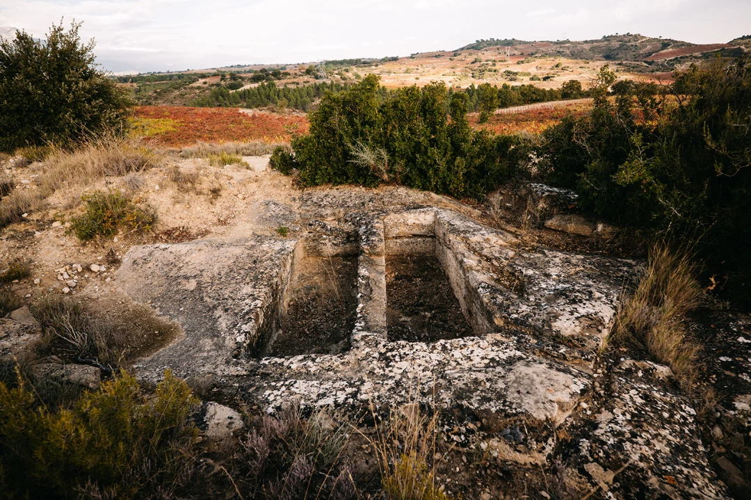 Villabuena de Álava