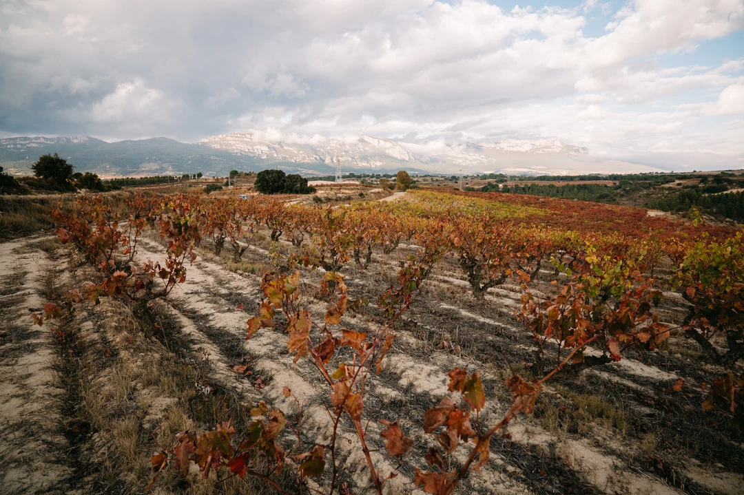 Villabuena de Álava