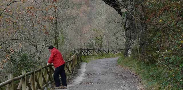 Vía Verde Plazaola-Leitzaran