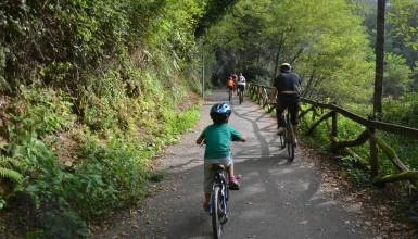 Vía Verde de Arditurri en bicicleta