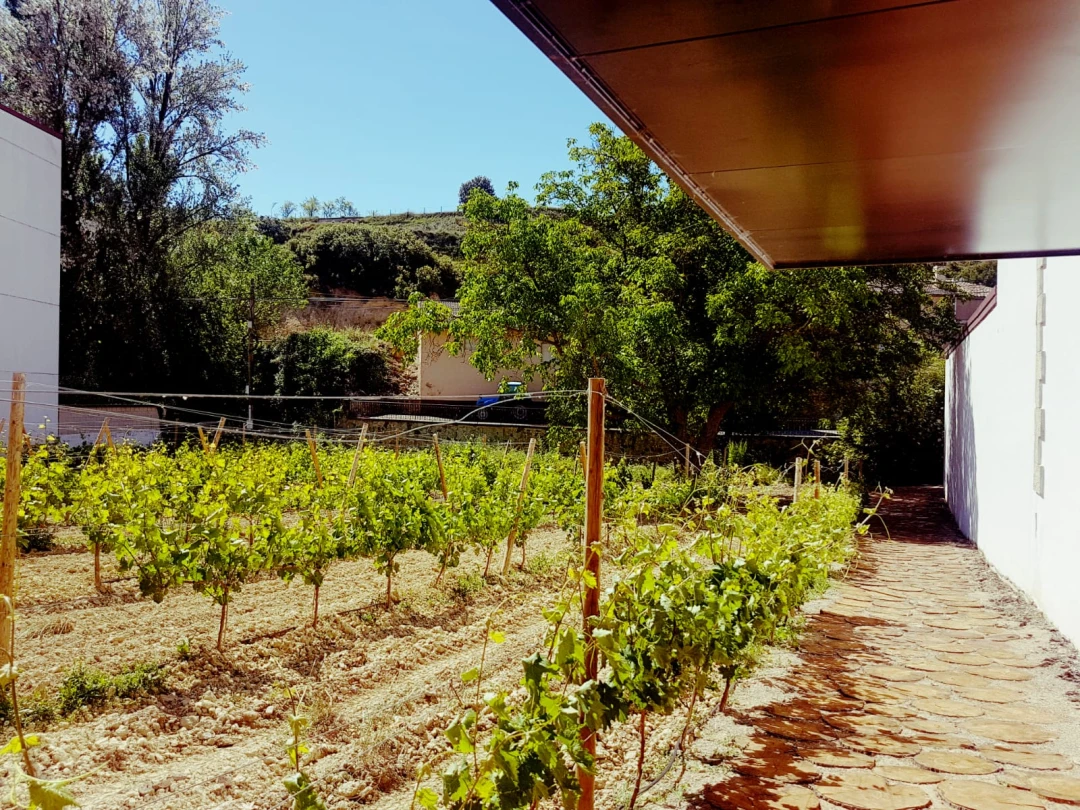 Bodegas Amador García