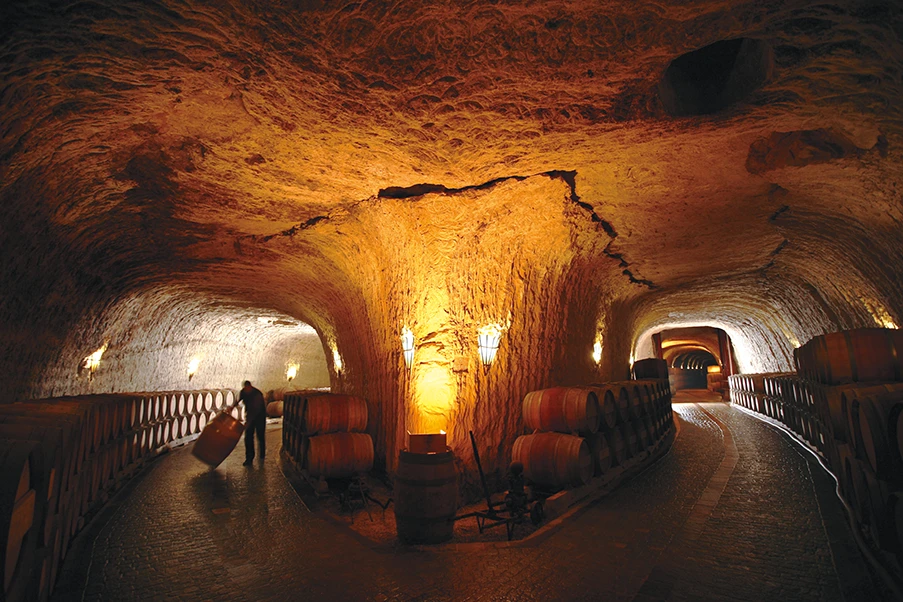Bodega Viñedos de Páganos