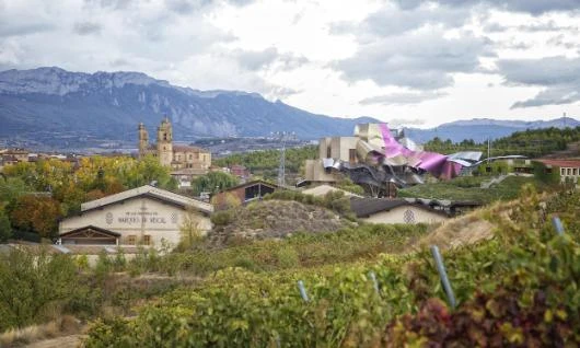 Oficina de Turismo de Elciego