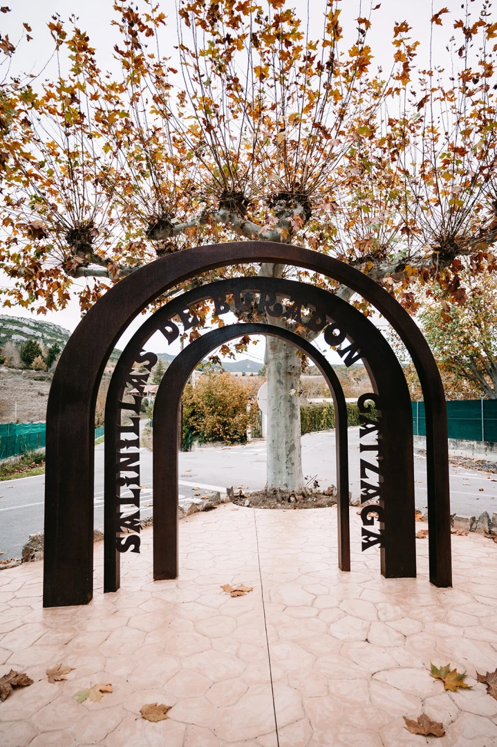 Salinillas de Burandón