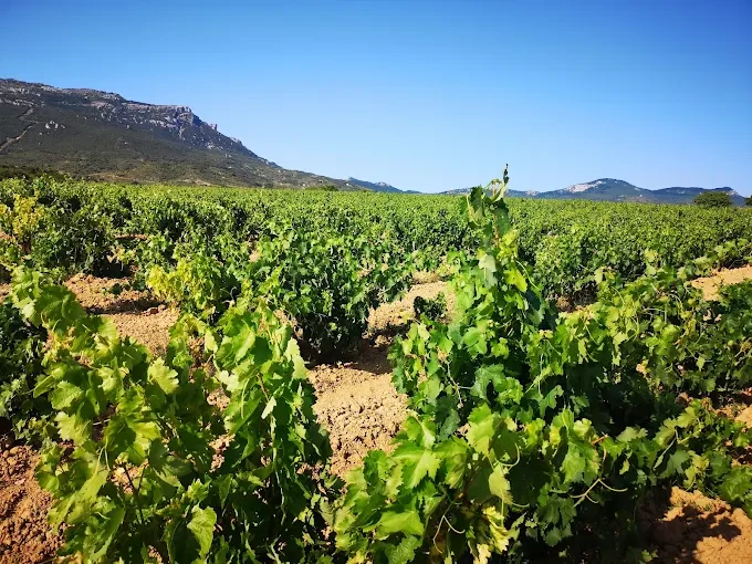 Lagar de Las Piletas