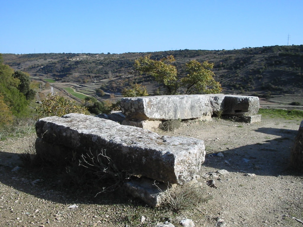 Holm Oak Balcony