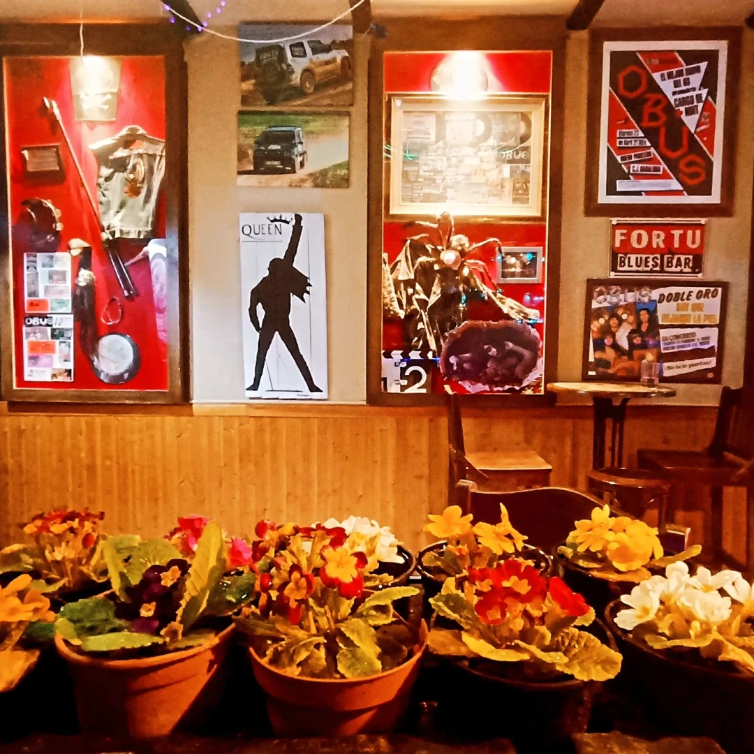Fortu Blues Bar
