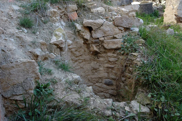Molino nuevo de aceite