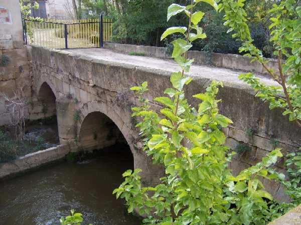 Puente (conjunto hidráulico) de Gelsa