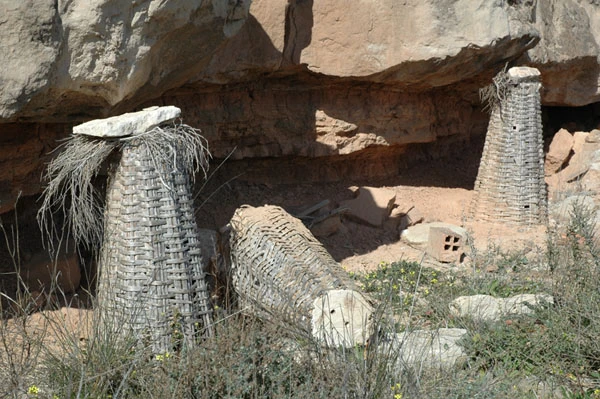 Abejar de Sástago