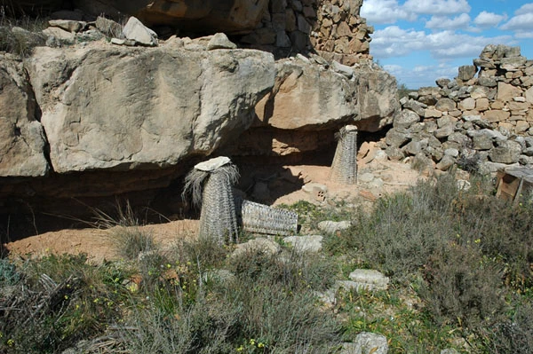 Abejar de Sástago
