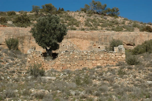 Abejar de Rueda
