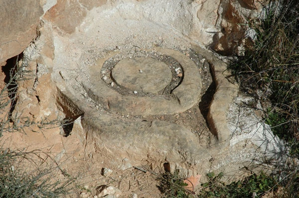 Abejar de Rueda