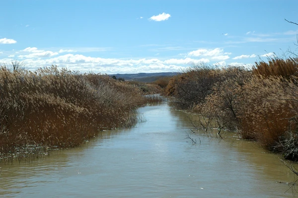 Azud de Velilla de Ebro