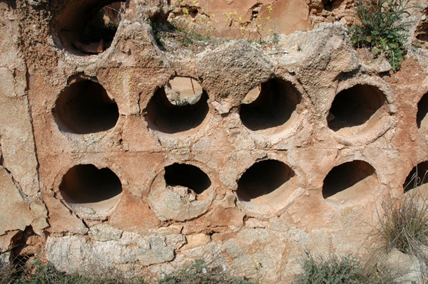 Abejar de Velilla de Ebro