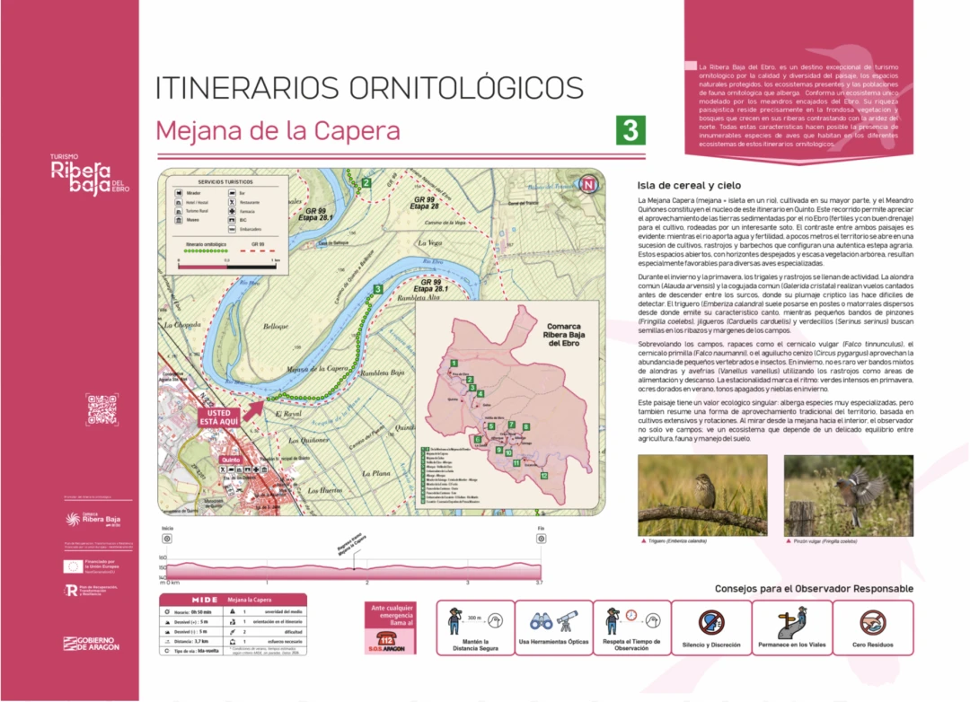 Punto ornitológico 3 (Quinto)