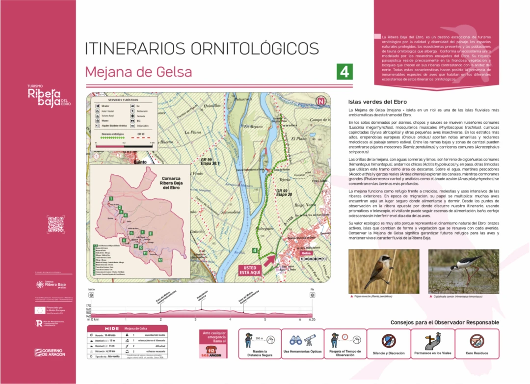 Punto ornitológico 4 (Gelsa)