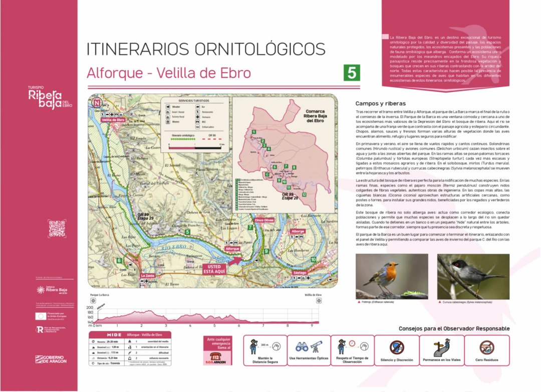 Punto ornitológico 5 (Alforque)