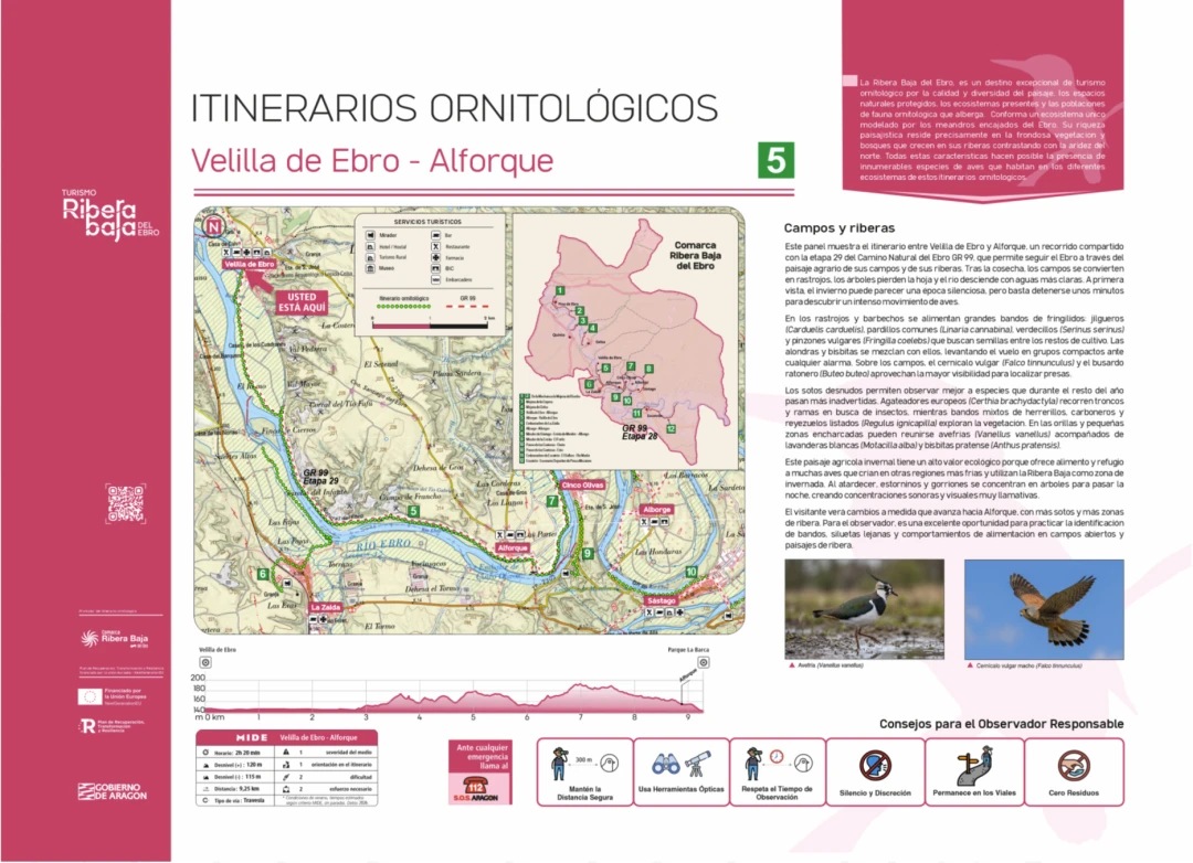 Punto ornitológico 5 (Velilla de Ebro)