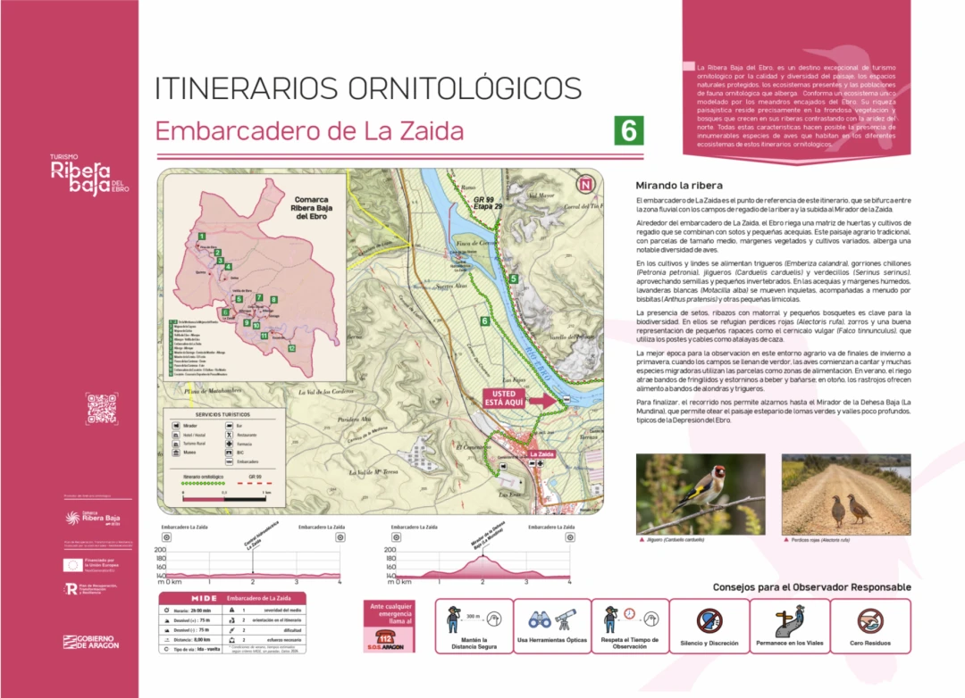 Punto ornitológico 6 (La Zaida)