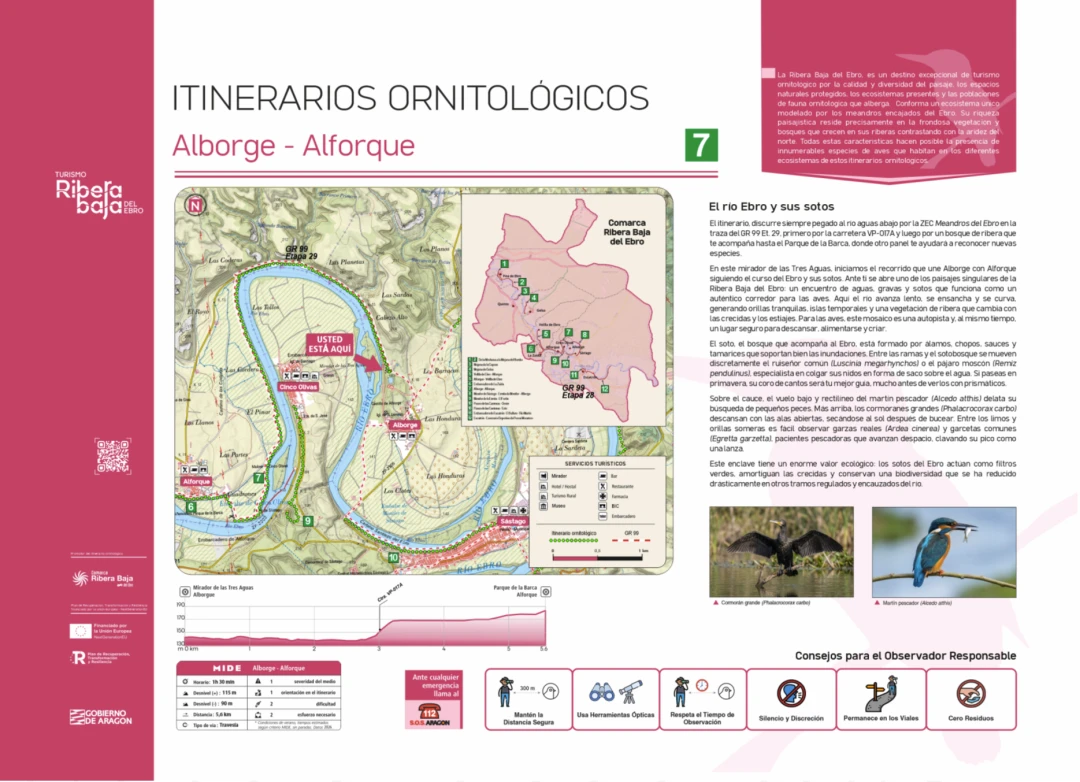 Punto ornitológico 7 (Alborge)
