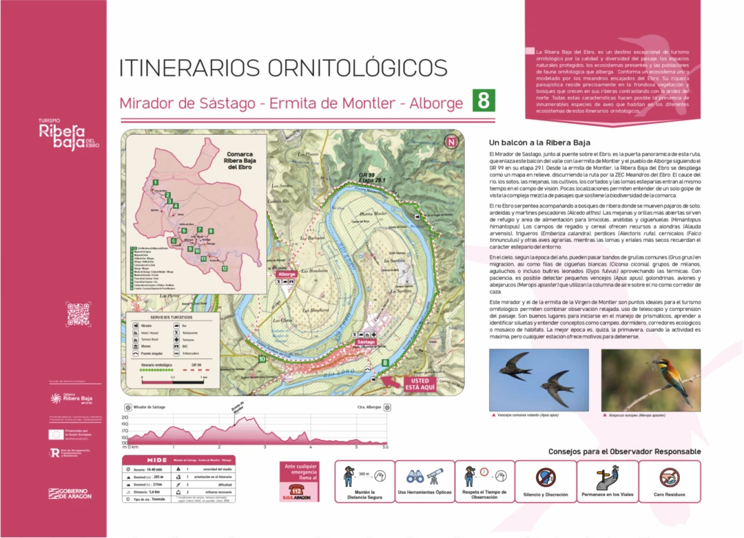 Punto ornitológico 8 (Sástago)