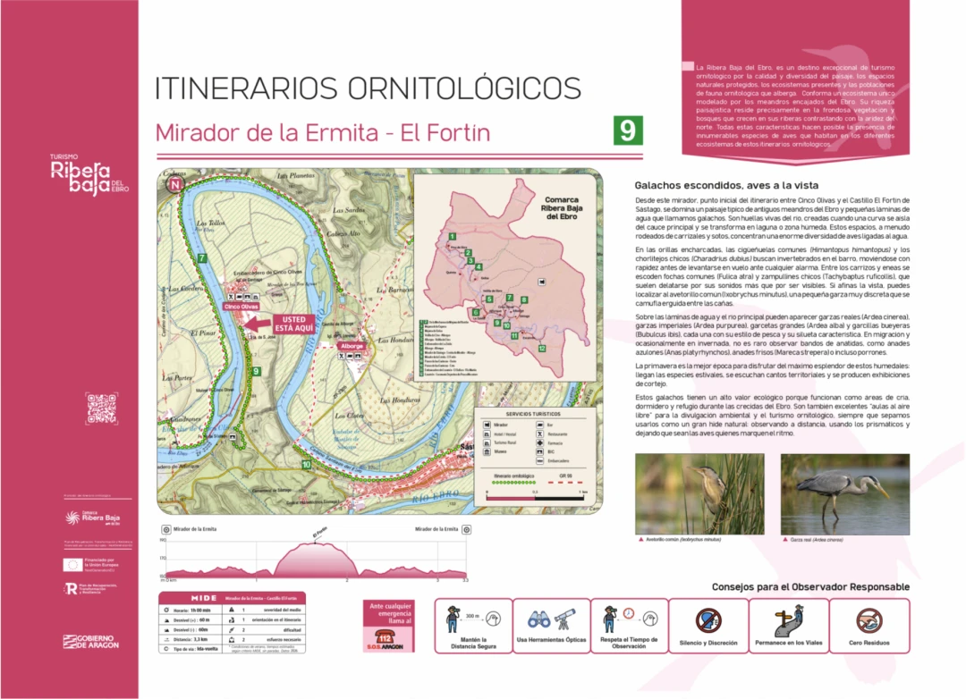 Punto ornitológico 9 (Cinco Olivas)