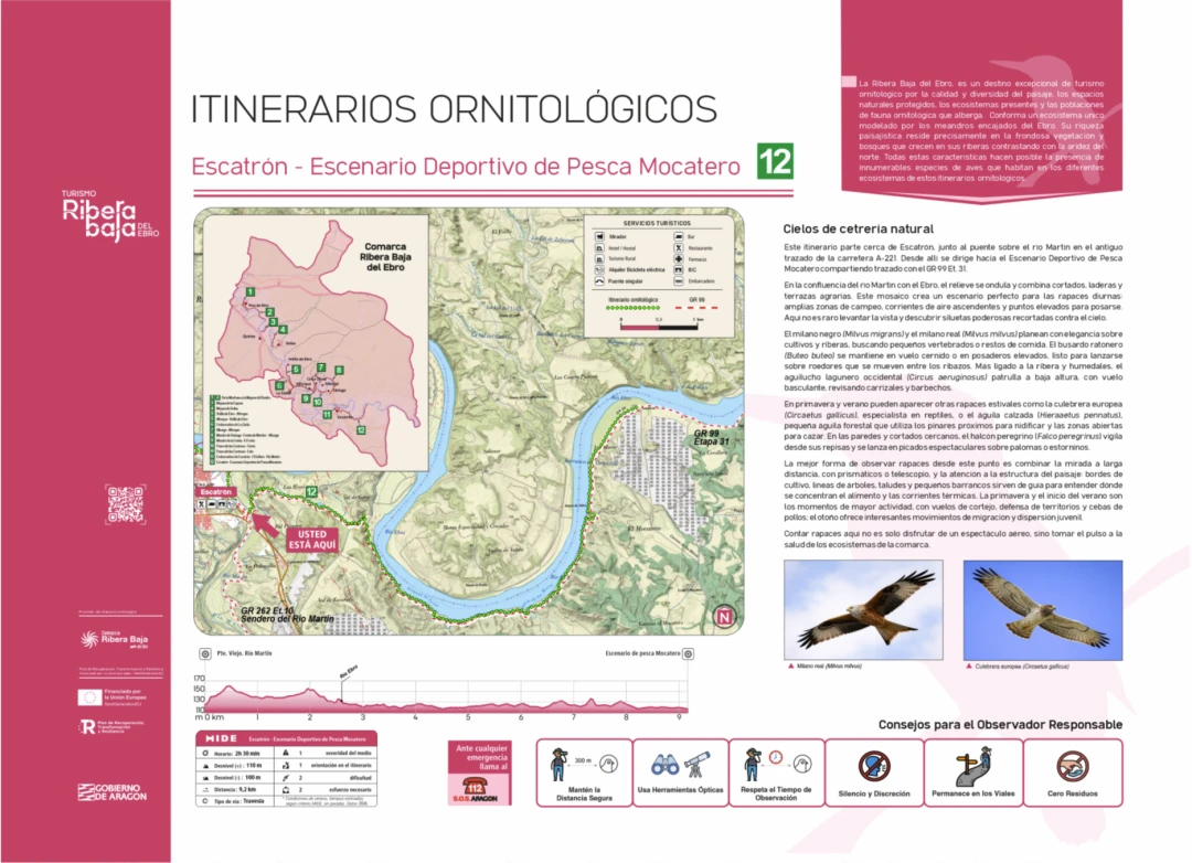 Punto ornitológico 12 (Escatrón)