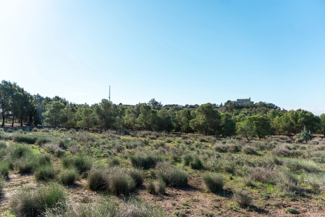 Parque Javier Blasco Zumeta (La Chopera)