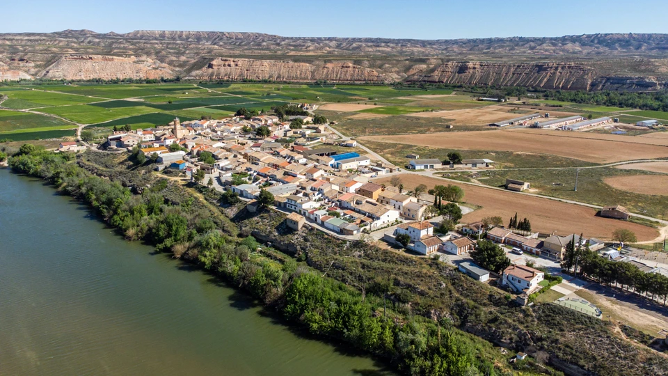 Cinco Olivas