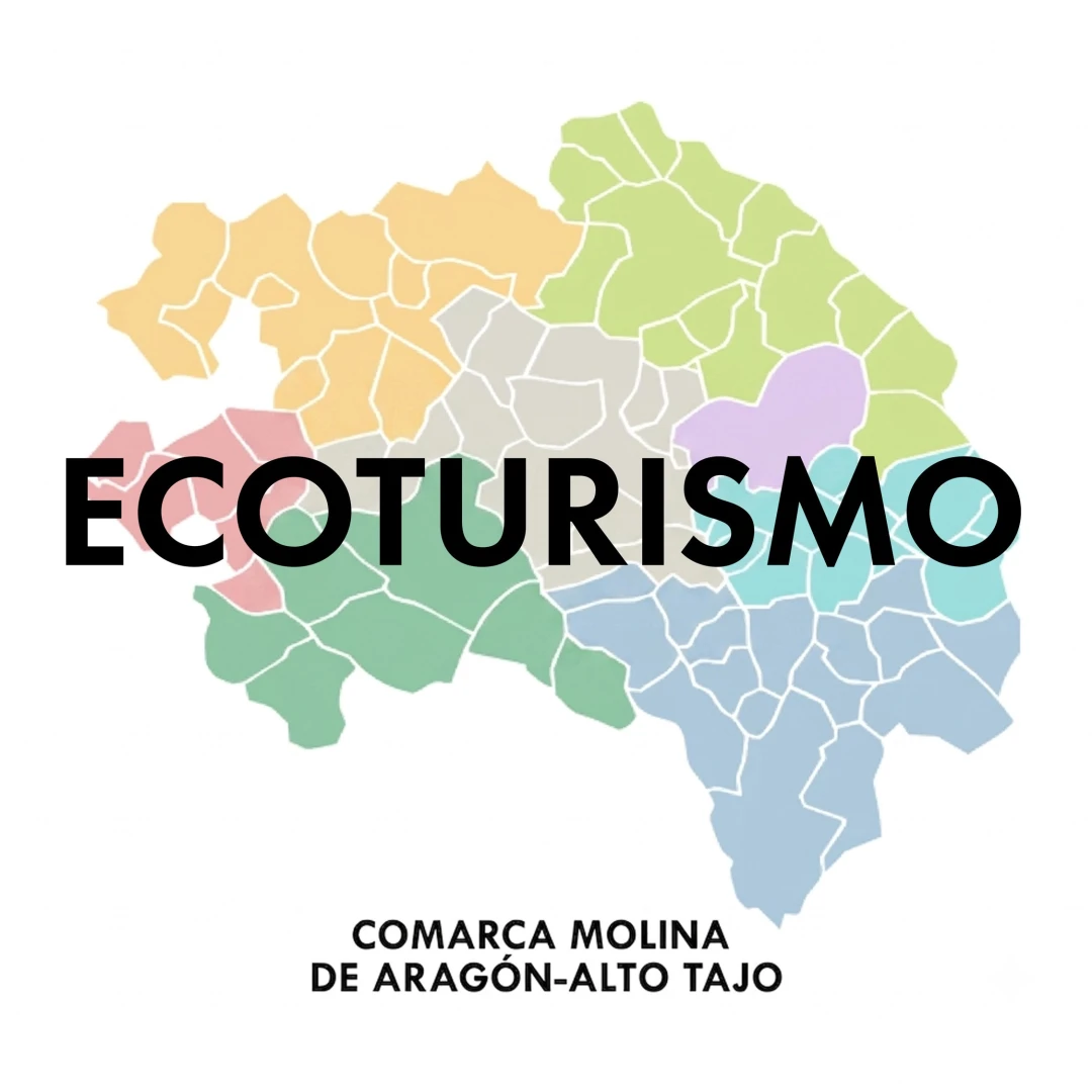 El Observario