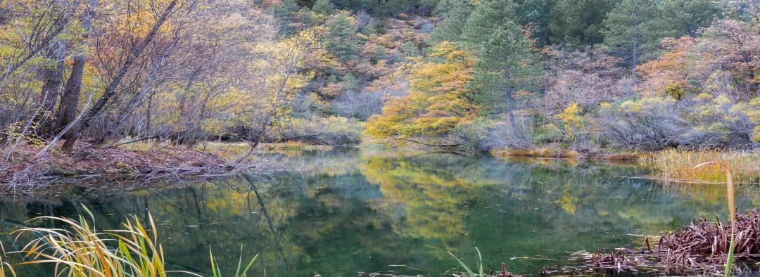 Parque Natural Alto Tajo