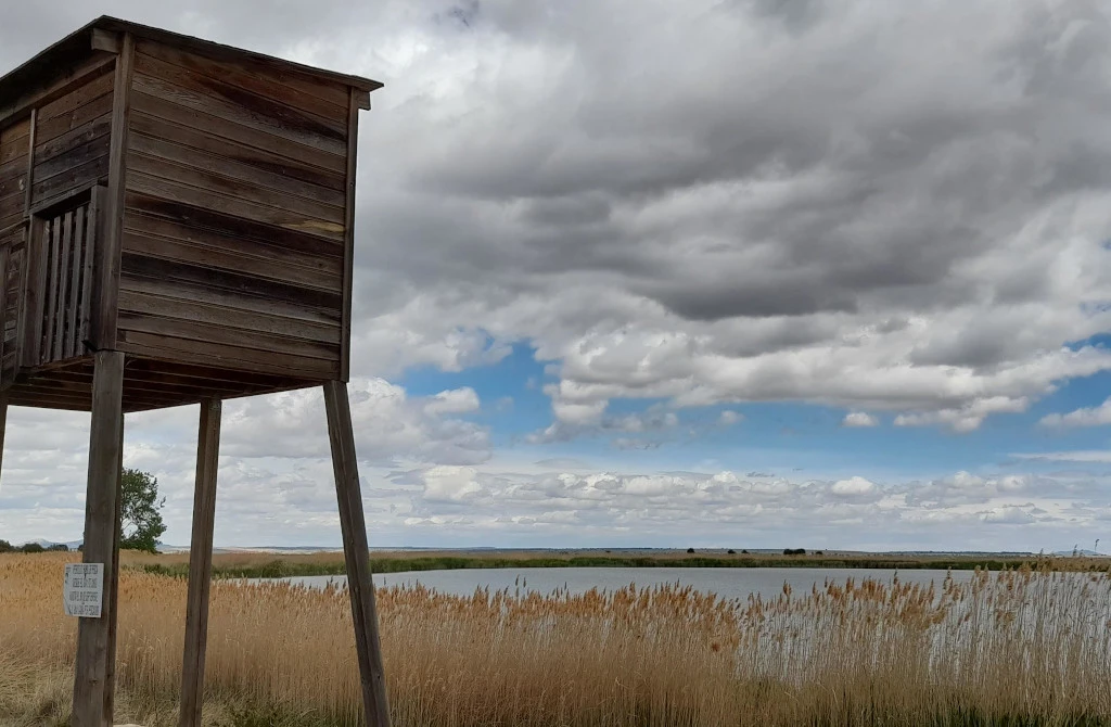 Lagunas y parameras del Señorío de Molina